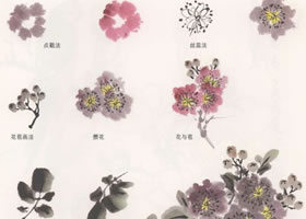 國畫紫薇花的畫法