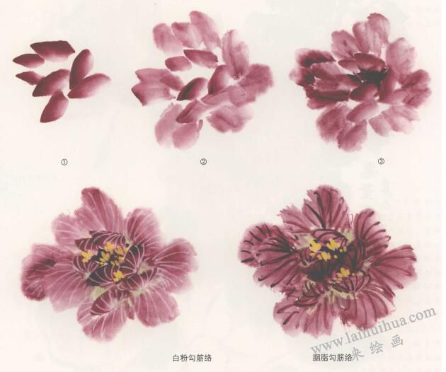 國(guó)畫芙蓉花的畫法