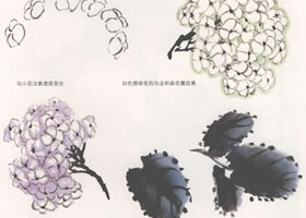 國畫繡球花的畫法