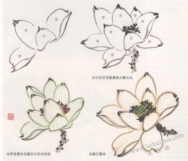 花卉國(guó)畫(huà)荷花的畫(huà)法
