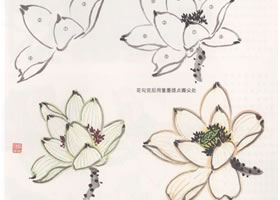花卉國畫荷花的畫法