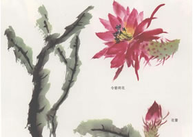 令箭荷花國畫畫法
