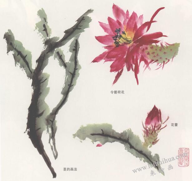 令箭荷花國(guó)畫畫法