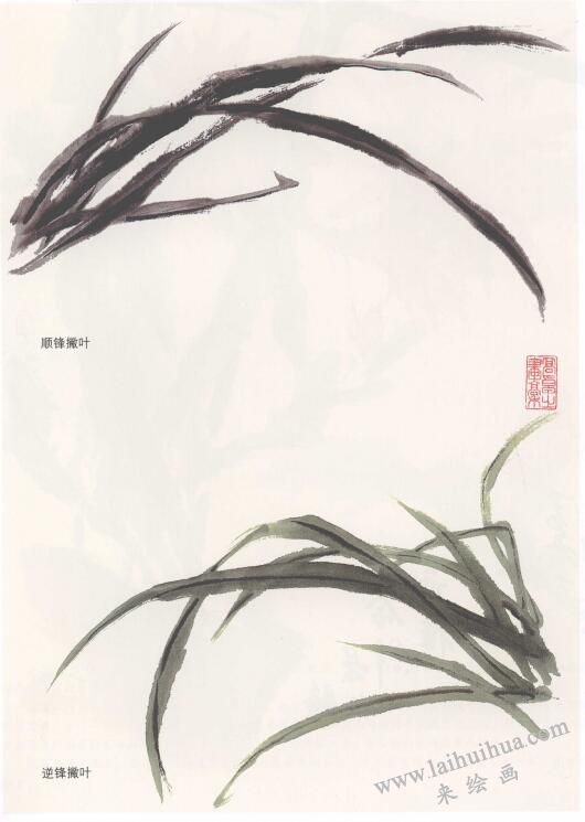 萱草花國畫畫法