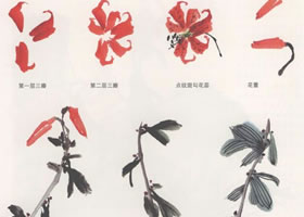 卷丹花國畫畫法