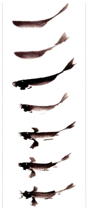 鯉魚的國畫畫法步驟