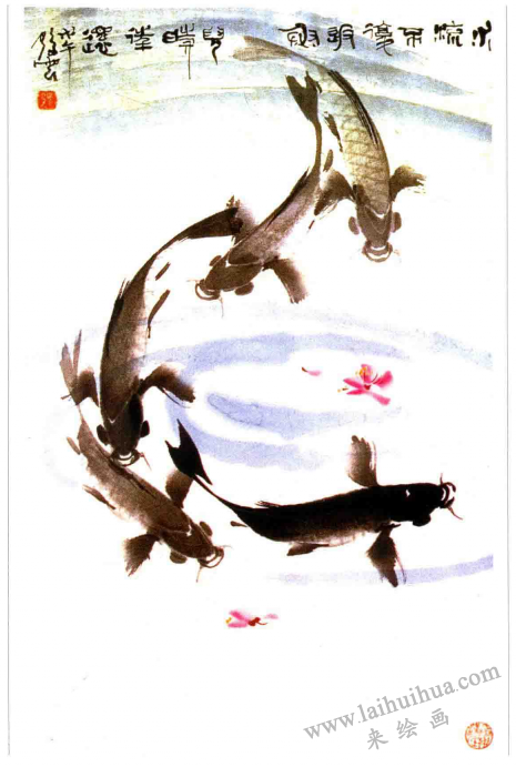 《鯉魚》,張云鶴