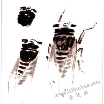 蟬的國畫畫法步驟01