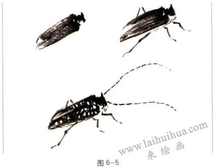 天牛的國畫畫法步驟01