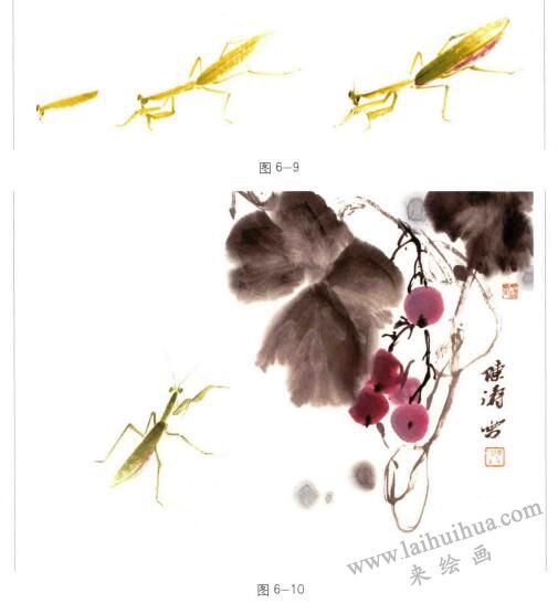 螳螂的國(guó)畫畫法步驟