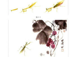 螳螂的國(guó)畫(huà)畫(huà)法