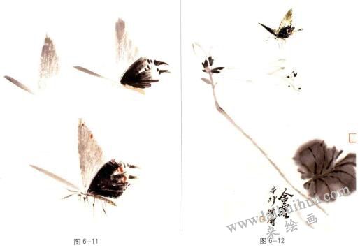 蝴蝶的國畫畫法步驟