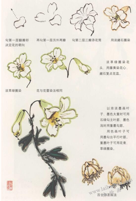 百合花國畫畫法