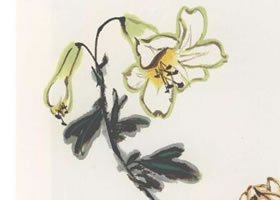 百合花國畫畫法