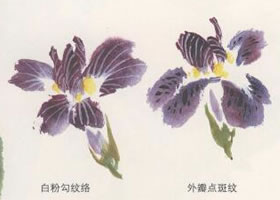 鳶尾花國畫畫法