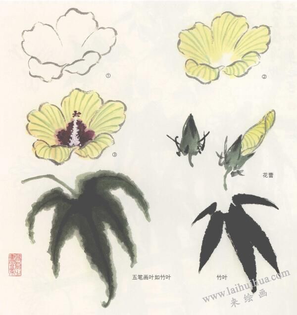 秋葵花國畫畫法，側(cè)金盞國畫畫法