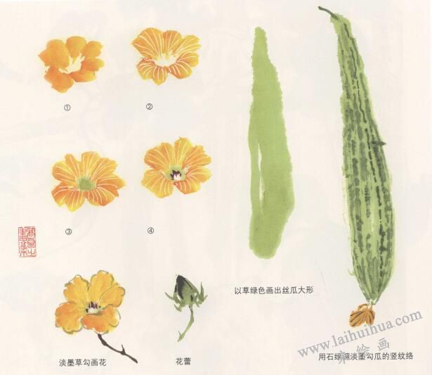 絲瓜花的國畫畫法
