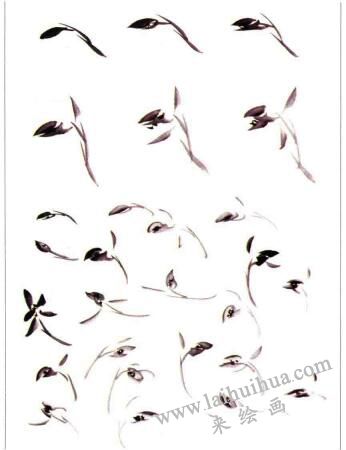 國畫春蘭花的畫法01