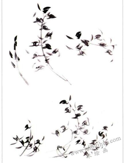 國畫蕙蘭花的畫法01
