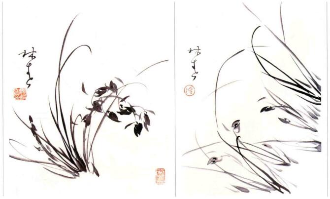 國畫蘭花的畫法:葉叢添花