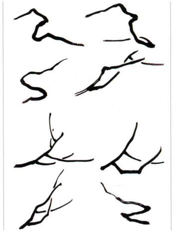 國(guó)畫(huà)梅花之梅枝的畫(huà)法