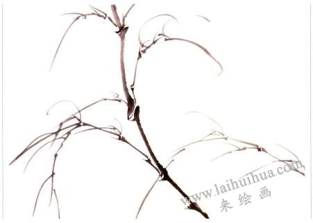 國畫竹子小枝的畫法