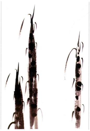 國(guó)畫(huà)竹筍的畫(huà)法