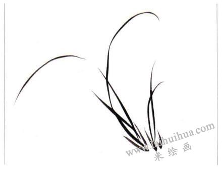兩叢蘭葉的畫法01