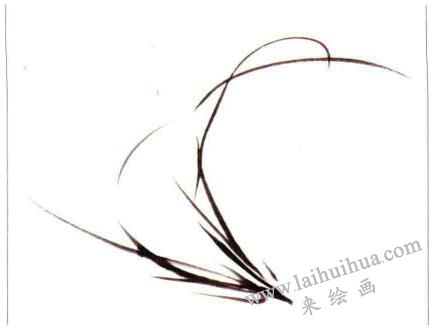 兩叢蘭葉的畫法02