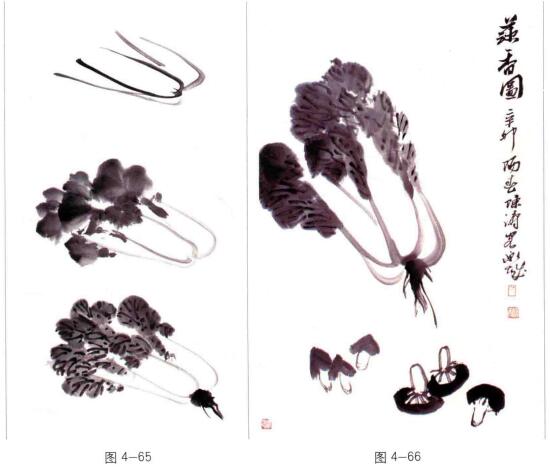 國(guó)畫(huà)白菜的畫(huà)法