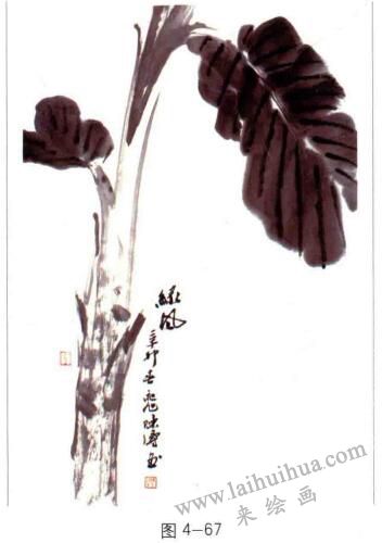 國(guó)畫(huà)芭蕉的畫(huà)法01