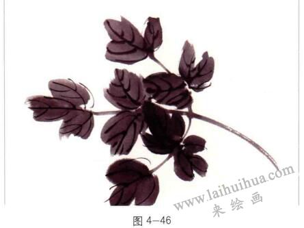 國(guó)畫牡丹葉子的畫法01
