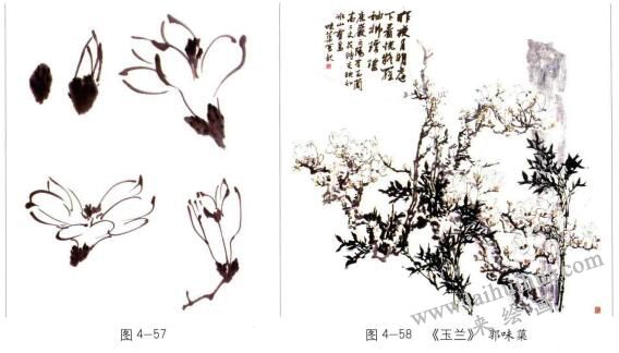 國畫玉蘭的畫法01