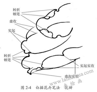 白描花卉筆法：花瓣