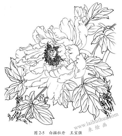 白描牡丹，王寶強