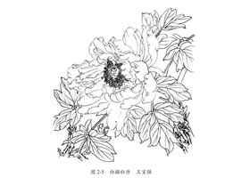 白描花卉的臨摹方法及步驟