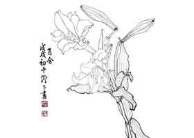 百合白描臨摹作品