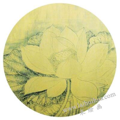 國畫宋畫小品《出水芙蓉》臨摹步驟一