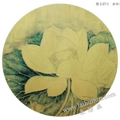 國畫宋畫小品《出水芙蓉》臨摹步驟二