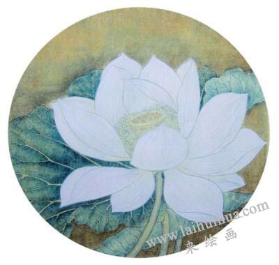 國畫宋畫小品《出水芙蓉》臨摹步驟三