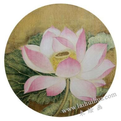 國畫宋畫小品《出水芙蓉》臨摹步驟四