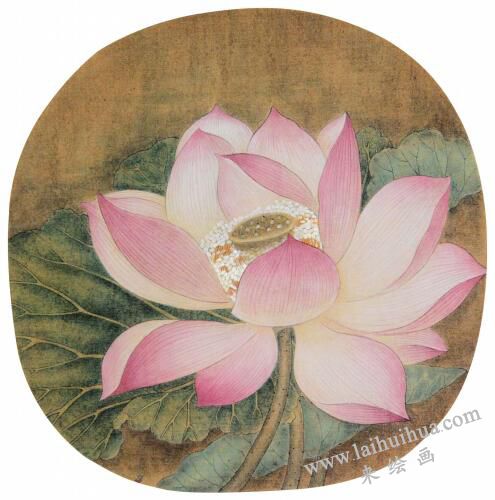 國畫宋畫小品《出水芙蓉》臨摹步驟五