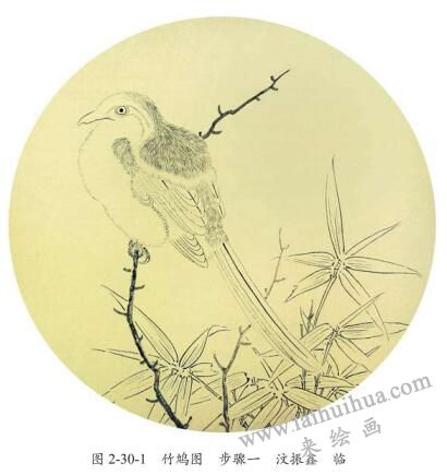 《竹鳩圖》臨摹方法及步驟01