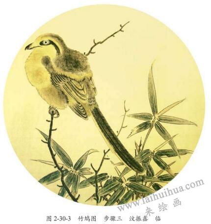 《竹鳩圖》臨摹方法及步驟03