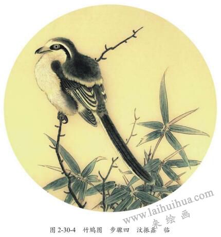 《竹鳩圖》臨摹方法及步驟04