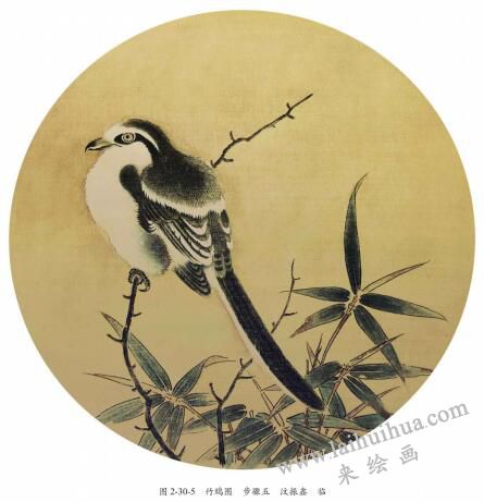 《竹鳩圖》臨摹方法及步驟05