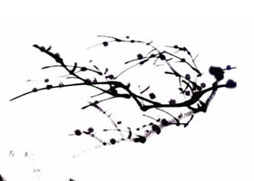 國畫梅花枝干畫法