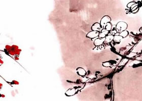 國畫梅花花朵著枝畫法