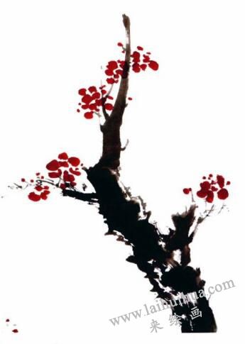國(guó)畫(huà)梅花的畫(huà)法步驟03