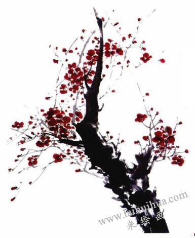 國(guó)畫(huà)梅花的畫(huà)法步驟05